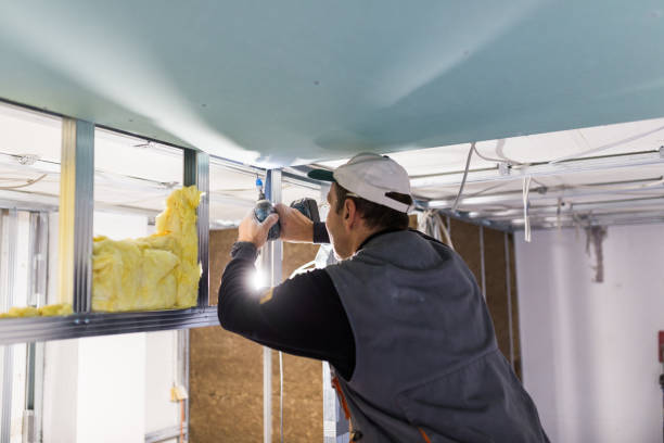 Insulation for Commercial Buildings in Nisswa, MN